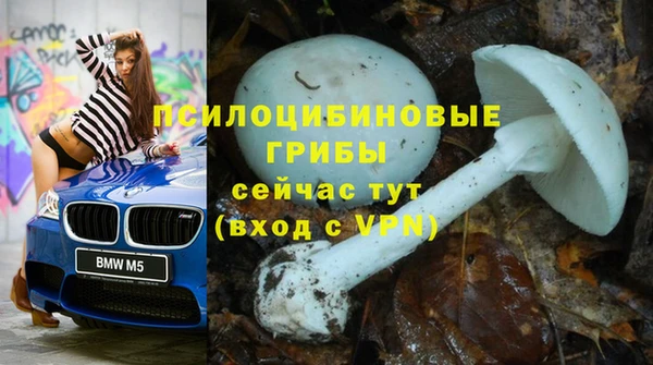MESCALINE Ростов