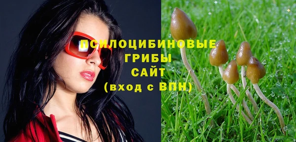 кокс Рославль