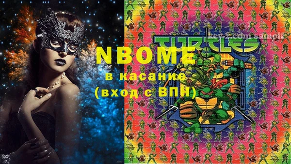 хмурый Россошь