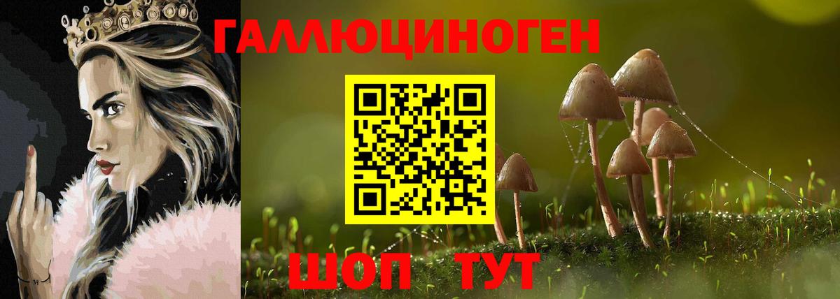Великий Новгород  Псилоцибиновые грибы прущие грибы  Галлюциногенные грибы прущие грибы  Вход с VPN 
